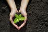 Biodiversity sustainability environment