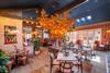 Zizzi-Marlow-030