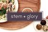 stem-and-glory