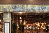 las iguanas