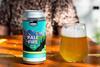 Pale Fire Pressure Drop