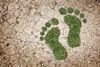 carbon_footprint_sustainability_GettyImages_140183003