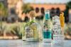 6. Fever Tree Citrus Tonic