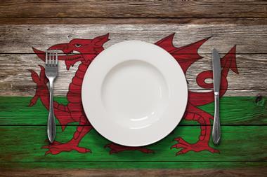 welsh flag food plate wales