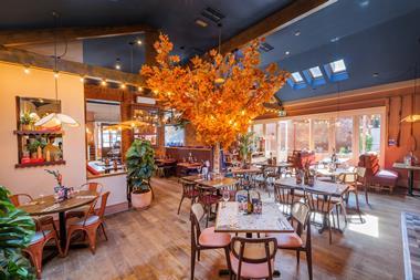 Zizzi-Marlow-030