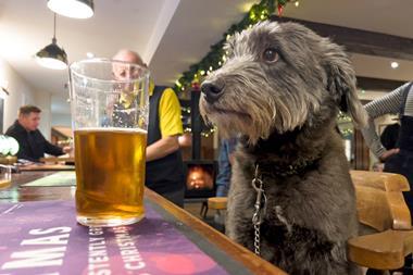 Dog-in-pub