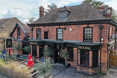 Stonegate Dog & Duck