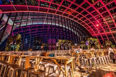 Rhubarb Sky Garden