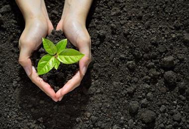 FZ4O7VYHMBO5NG2YNT3WHUHFF4