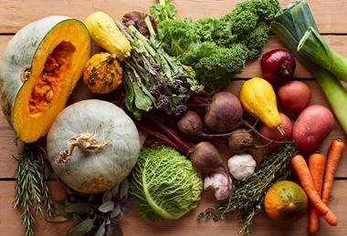 Vegetable selection 1 resized