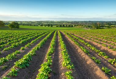 GettyImages-476139834