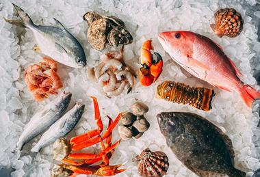 fish seafood