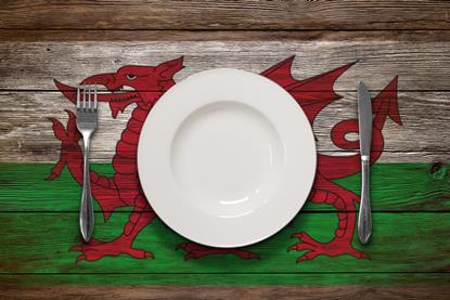 welsh flag food plate wales