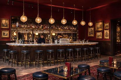 Evolv Collection - Stories Tavern