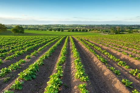 GettyImages-476139834