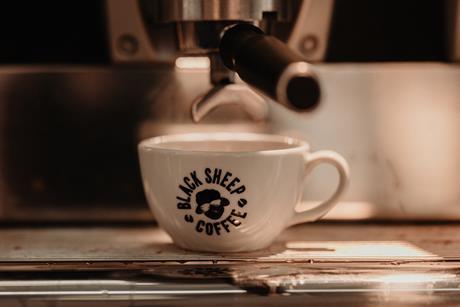 black sheep edinburgh-109