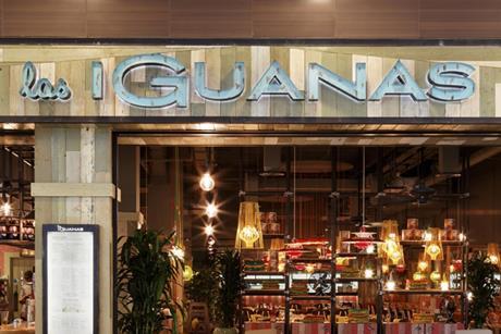 las iguanas