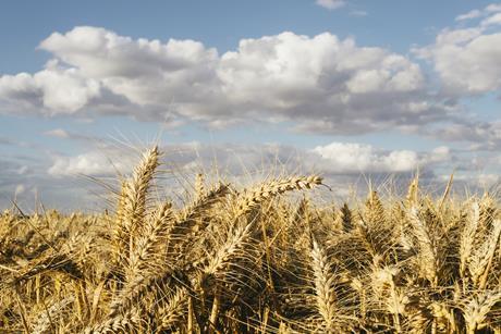 GettyImages-1278933657