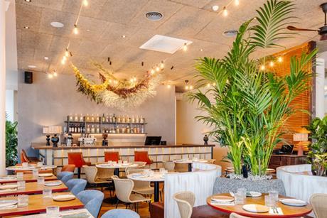 Wahaca 4