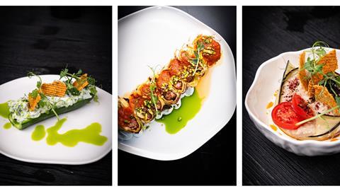 CHARGAL GROUP IMAGERY CACIK - SARMA BEYTI - AUBERGINE